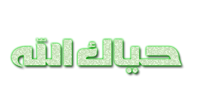 134.gif