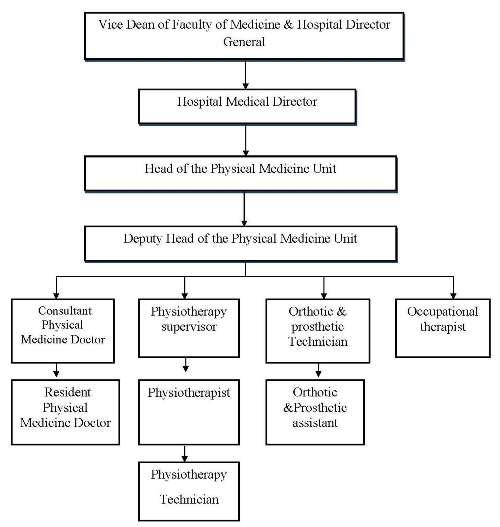 Physical Therapy Clinic Organizational Chart