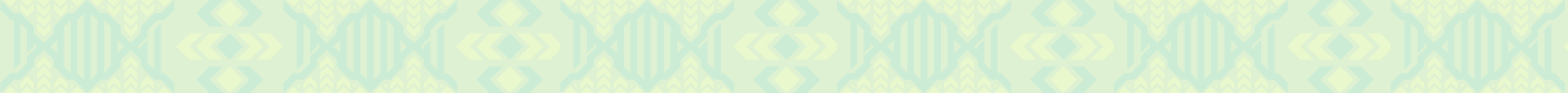 ND 96