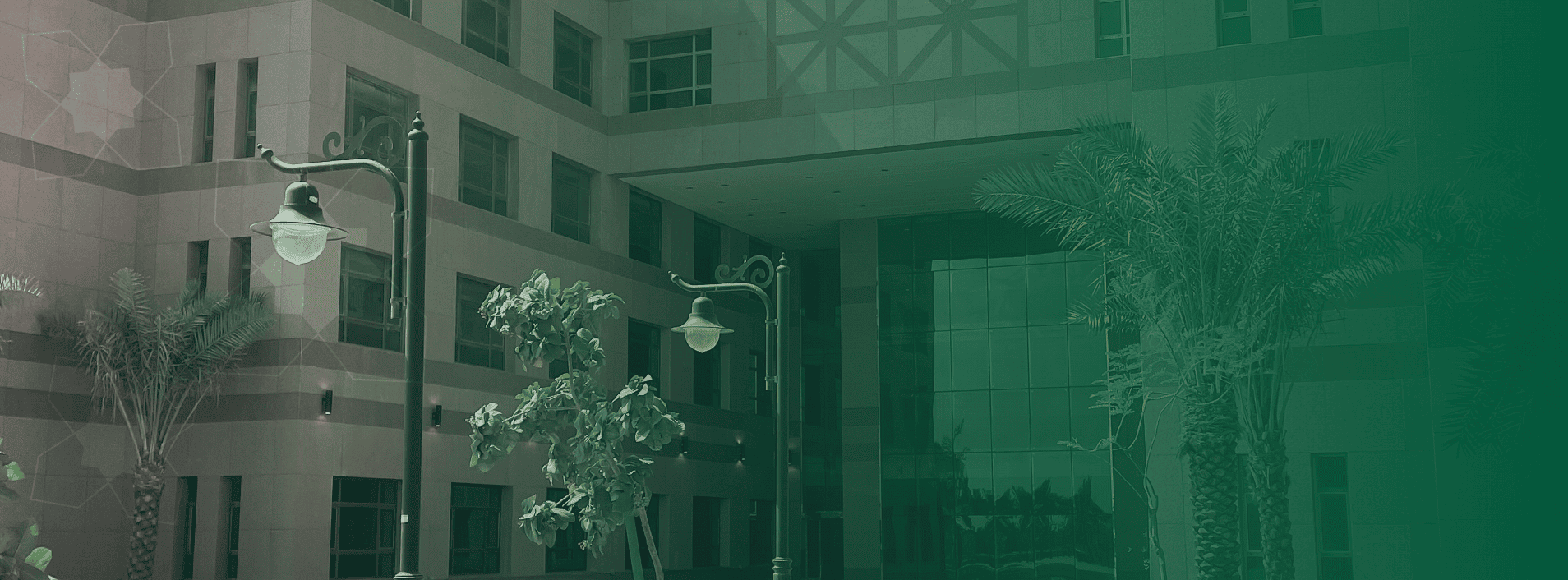 صورة الحياة الجامعية