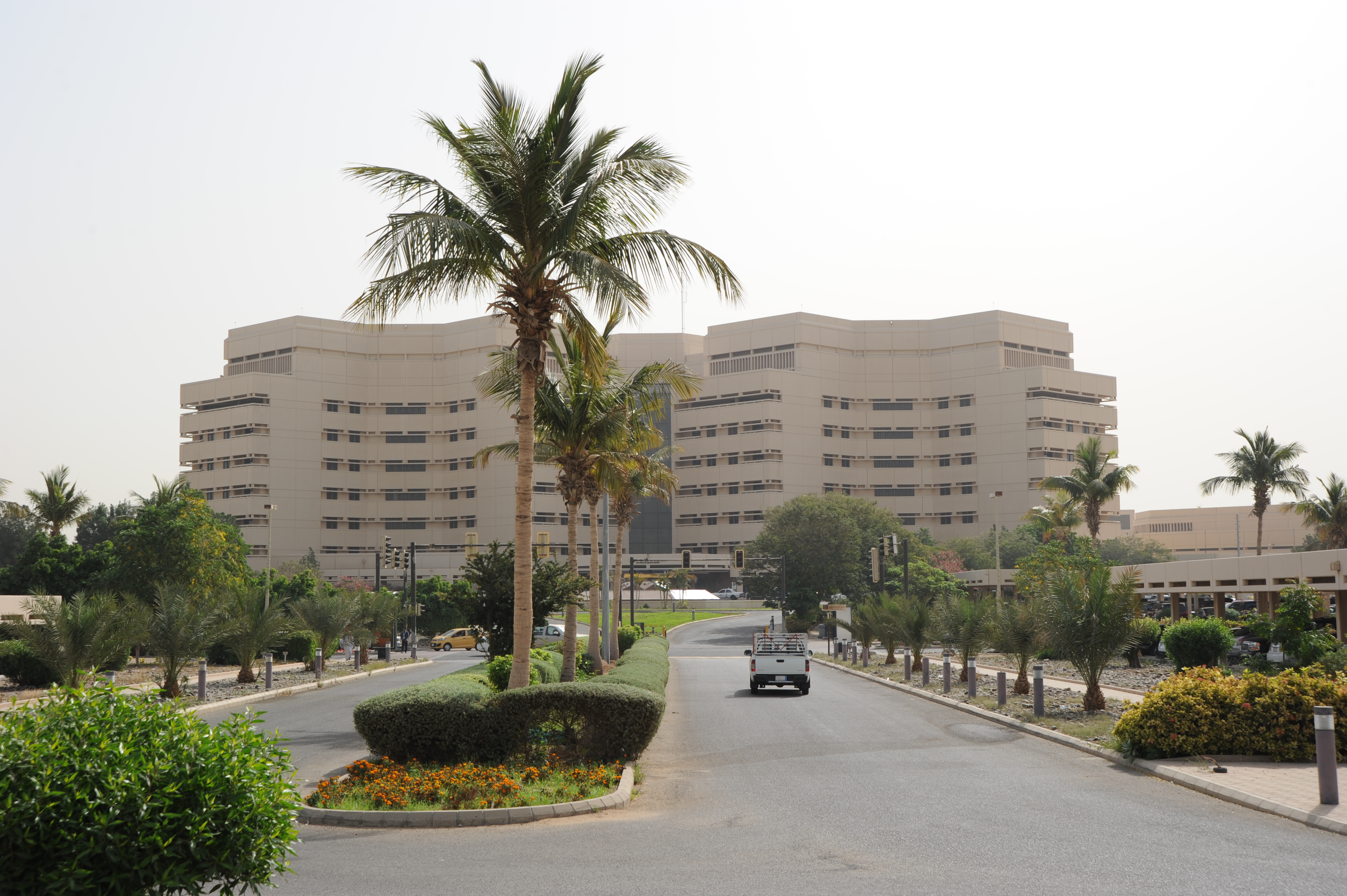 صورة الحياة الجامعية