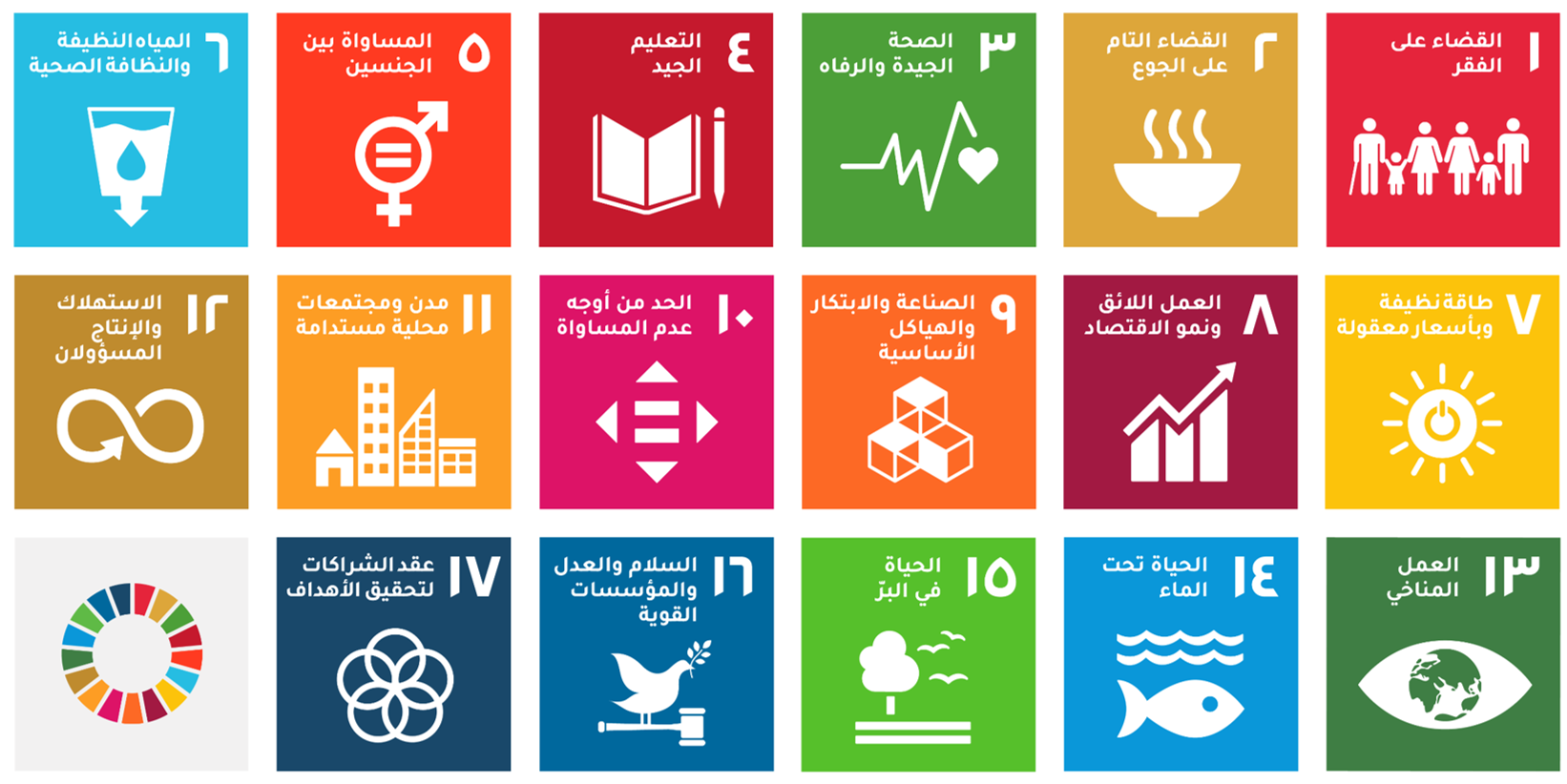 صورة الحياة الجامعية